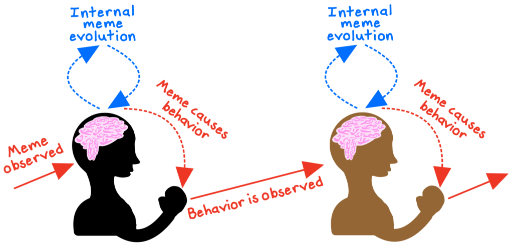 internal meme evolution